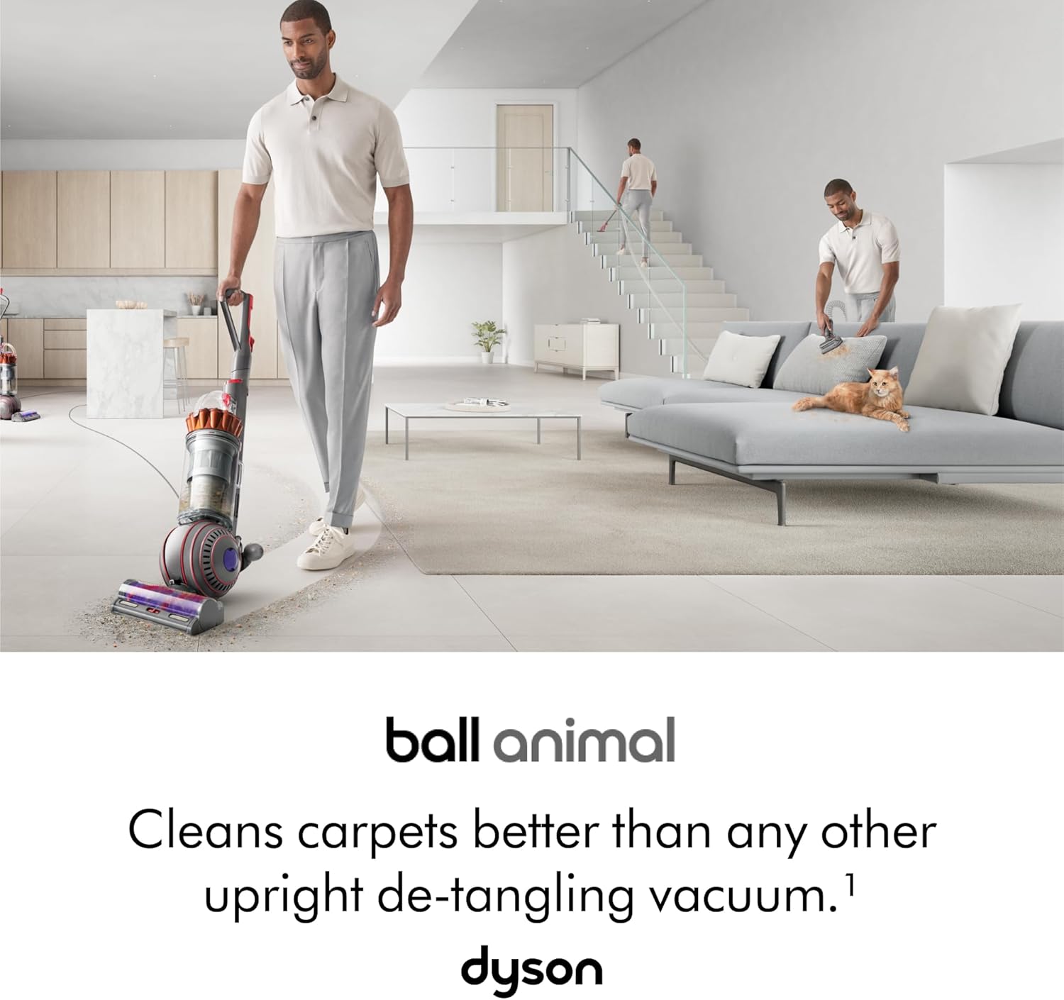 Dyson Ball™ Animal Multi-floor...