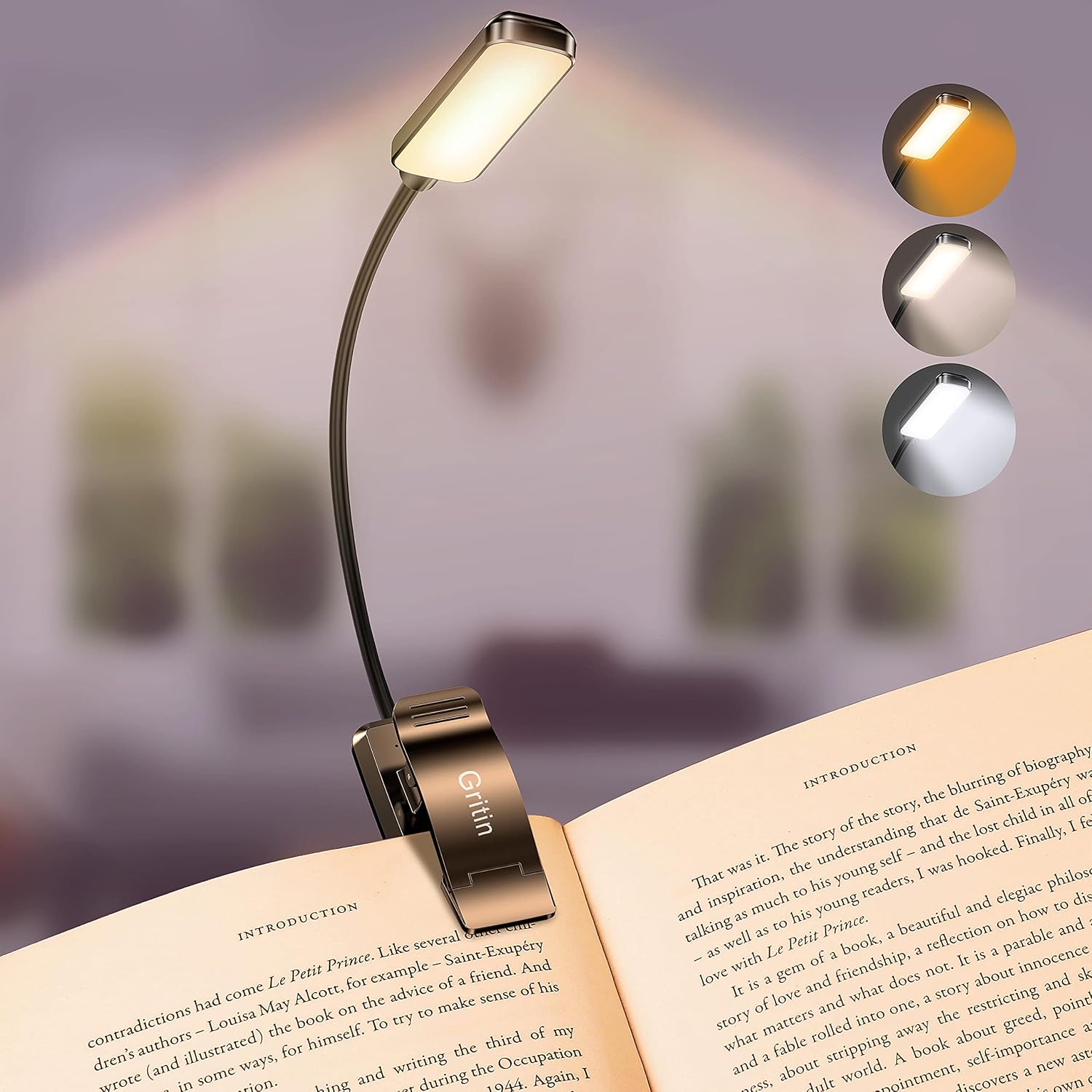 Gritin 9 LED Clip on Book Ligh...