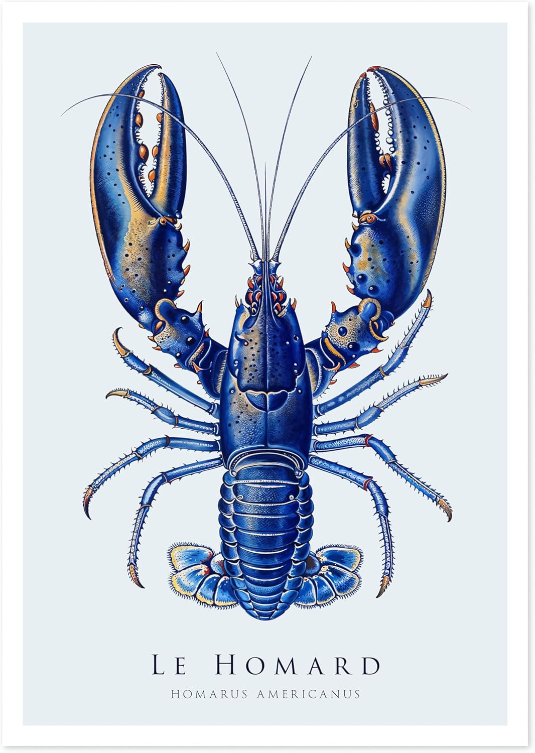 Animato Lobster Nautical Exhib...