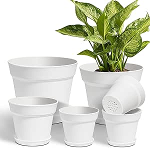 T4U Plant Pots Indoor Set of 6...