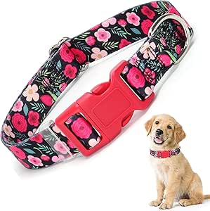 Dog Collars for Medium Dogs, B...