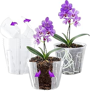 Bonviee 6 Packs Side-Open Orch...