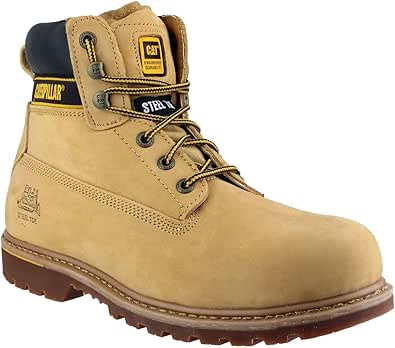 Cat Footwear Men's Holton Sb E...
