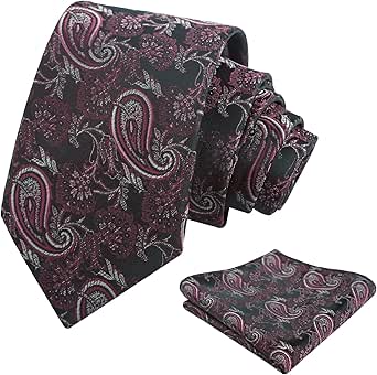 Alizeal Mens Paisley Tie and H...